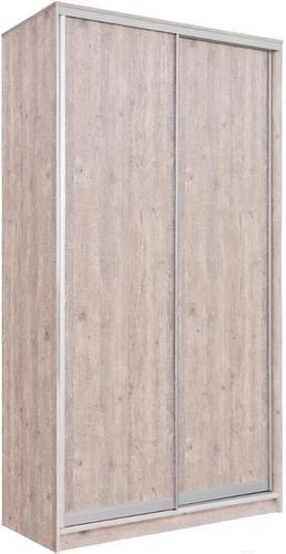 Шкаф-купе Рэйгрупп 138450 SSX Elgon РГ-11.03 (сосна натуральная/хром)