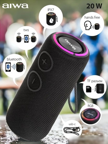 Беспроводная колонка Aiwa PAS-H200 (черный)