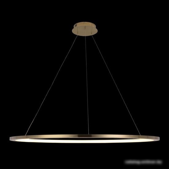 Подвесная люстра LOFT IT Ring 10014XXL