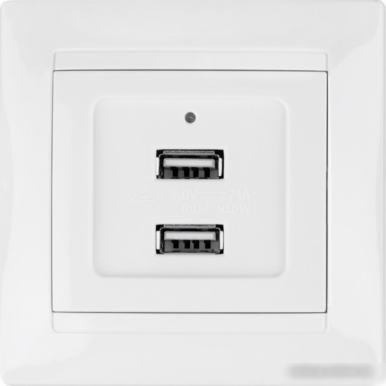 Розетка USB TDM Electric Лама SQ1815-0041