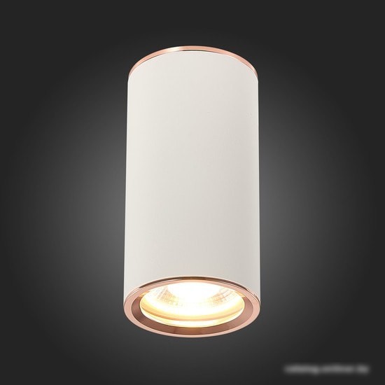 Точечный светильник ST Luce Chomus ST111.527.01