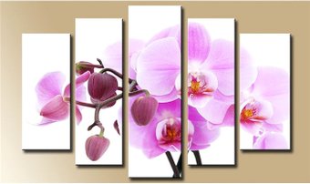 Модульная картина Arthata 5m-072 130x80