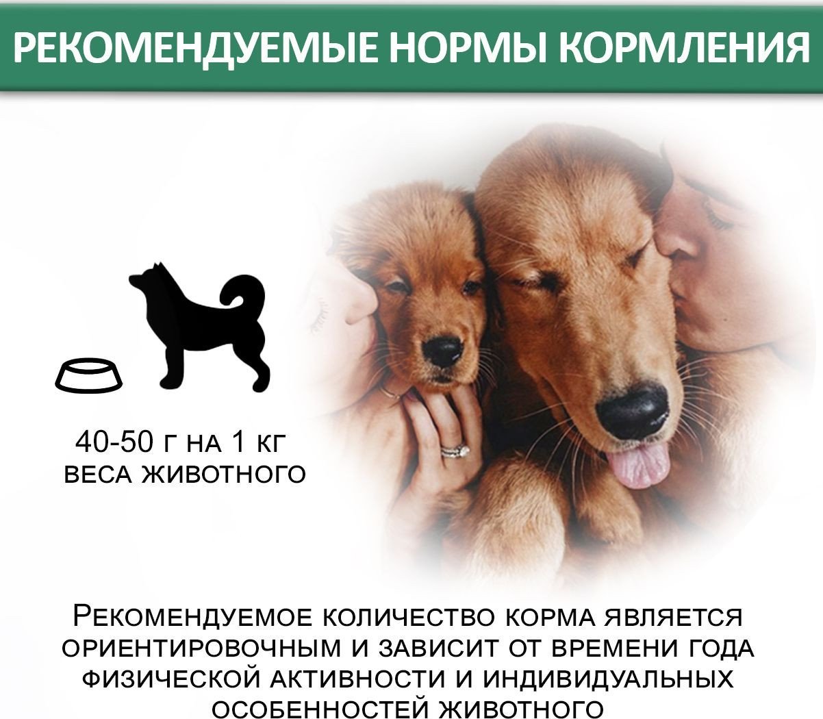 Консервированный корм для собак Edel Ягненок с рисом 850 г