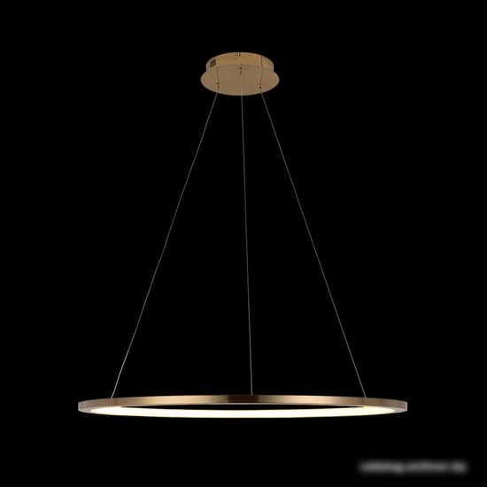 Подвесная люстра LOFT IT Ring 10014L