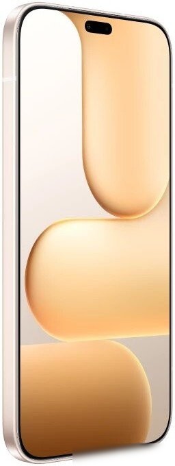 Телефон HONOR 600 Lite 8GB/256GB международная версия (пустынное золото)