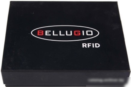 Кошелек Bellugio AM-01R-073