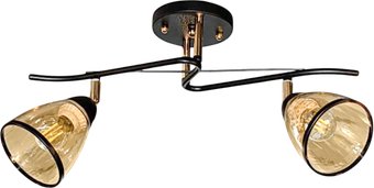 Спот Aitin Pro НПБ 02-2x60-101 6291/2 (черный/золото)