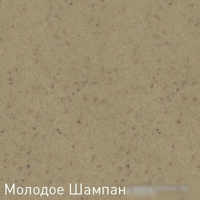 Кухонная мойка Zigmund & Shtain Kreis 480 (молодое шампанское)