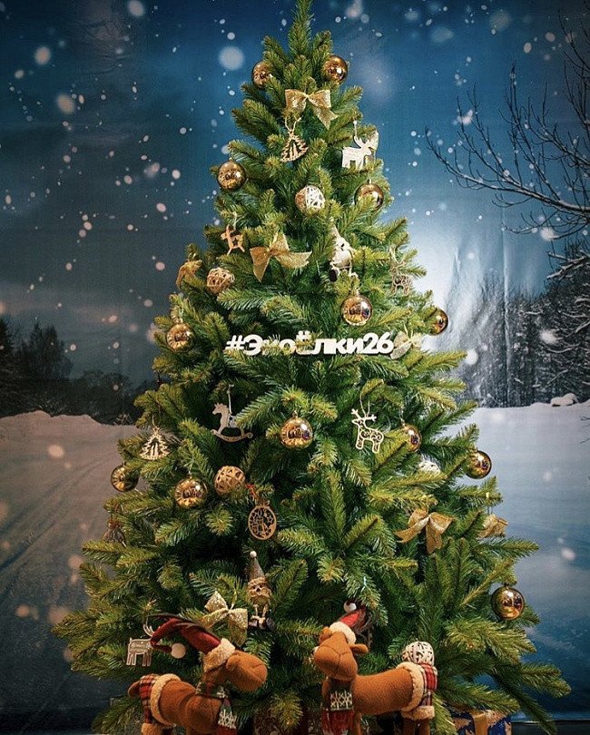 Ель Max Christmas Кавказская (2.2м, подставка металл)