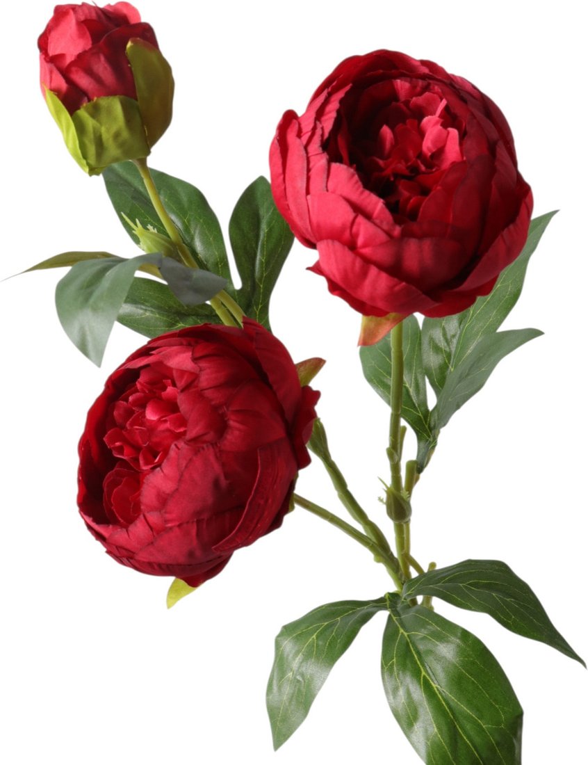 Искусственный цветок Poetry in flowers Пион Бьорг 10970083