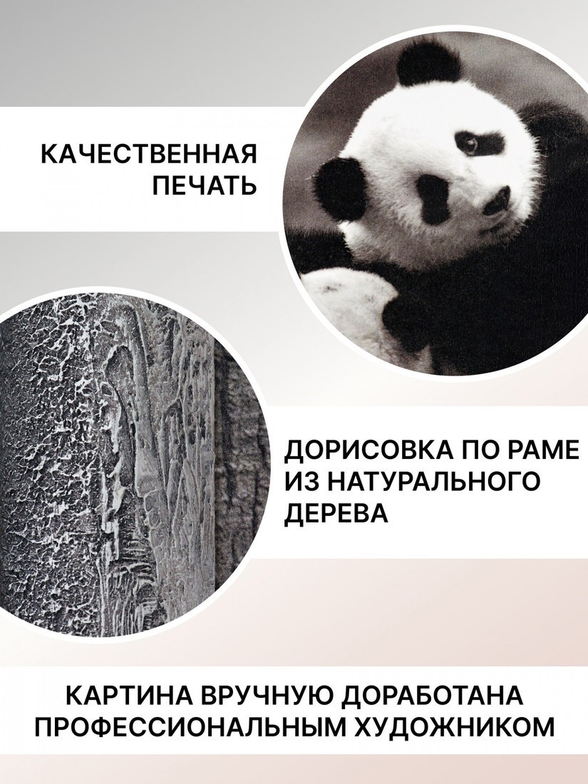 Картина Декарт 8Л0204