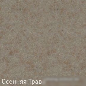Кухонная мойка Zigmund & Shtain Rechteck 775 (осенняя трава)