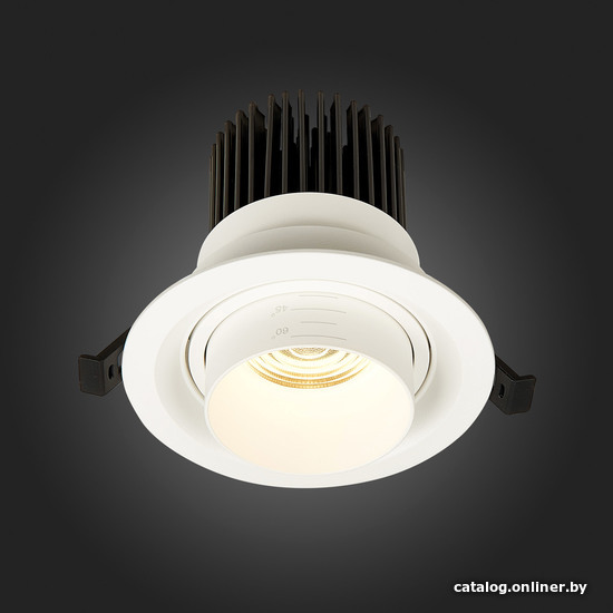Точечный светильник ST Luce Zoom ST701.538.12