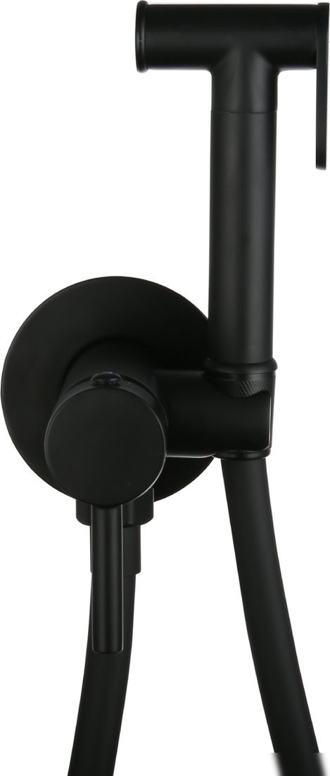 Гигиенический душ Roxen Santi 500940-B