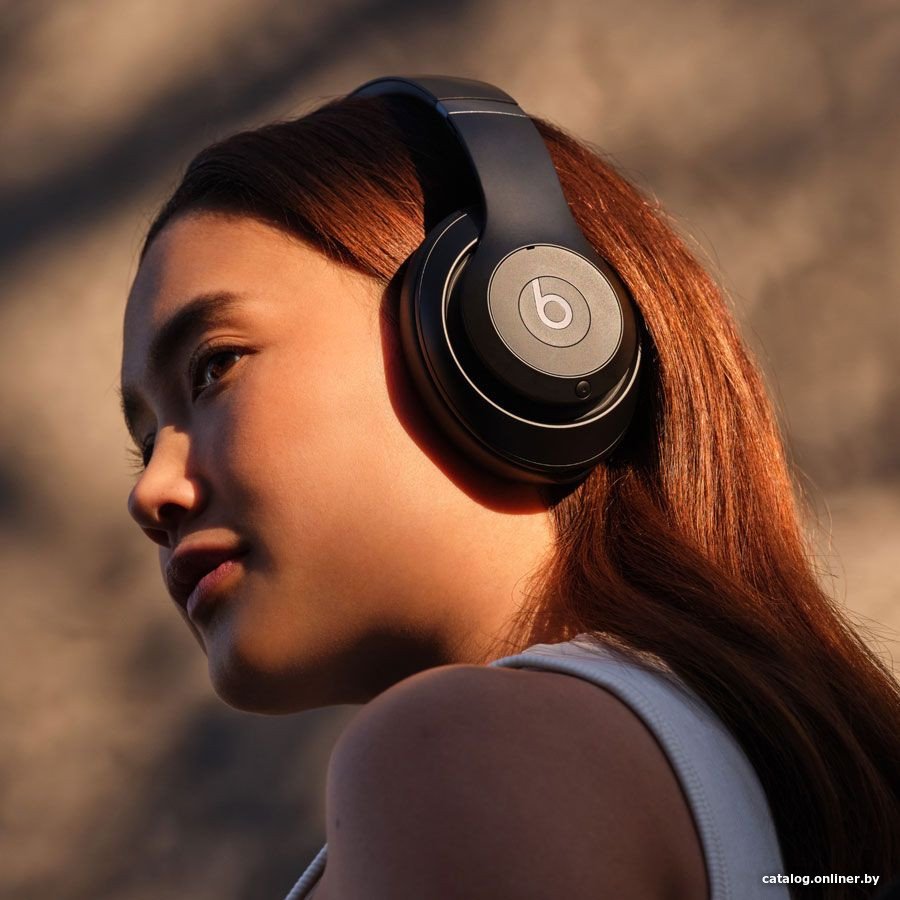 Наушники Beats Studio Pro (черный)