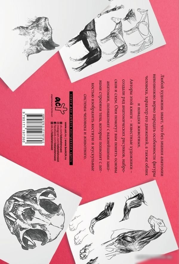 Книга издательства АСТ. Анатомия для художников. Альбом для скетчинга
