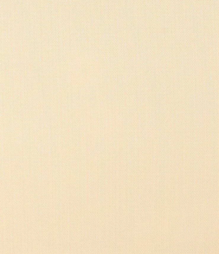 Рулонные шторы Legrand Мелтон 114x175 58156510 (бежевый)
