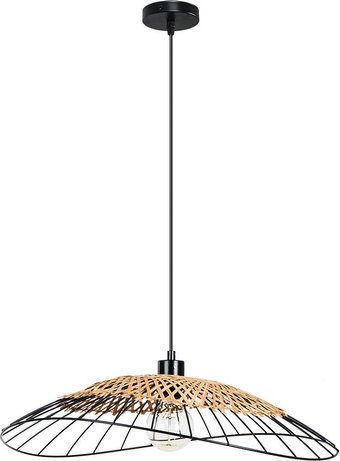 Подвесная люстра Arte Lamp Woodstock A7061SP-1BK