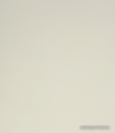 Рулонные шторы Legrand Лестер 52x175 (шампань)