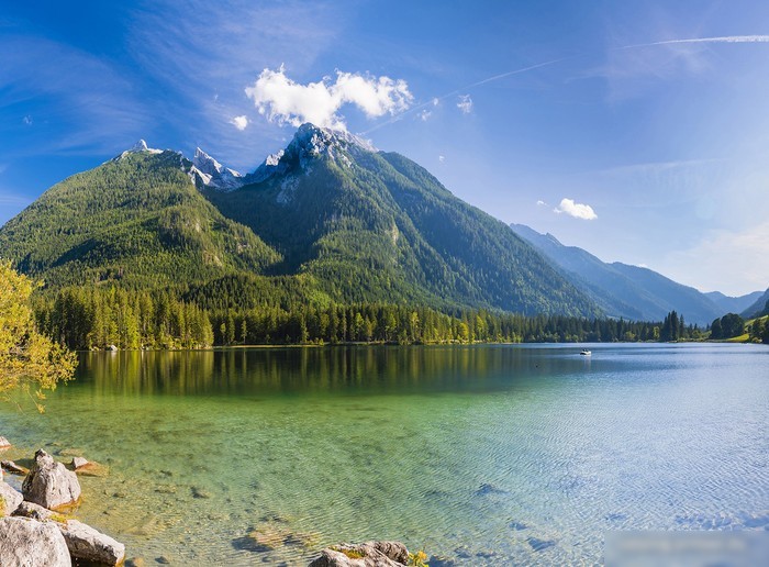 Картина Vimala 137 50x70 см
