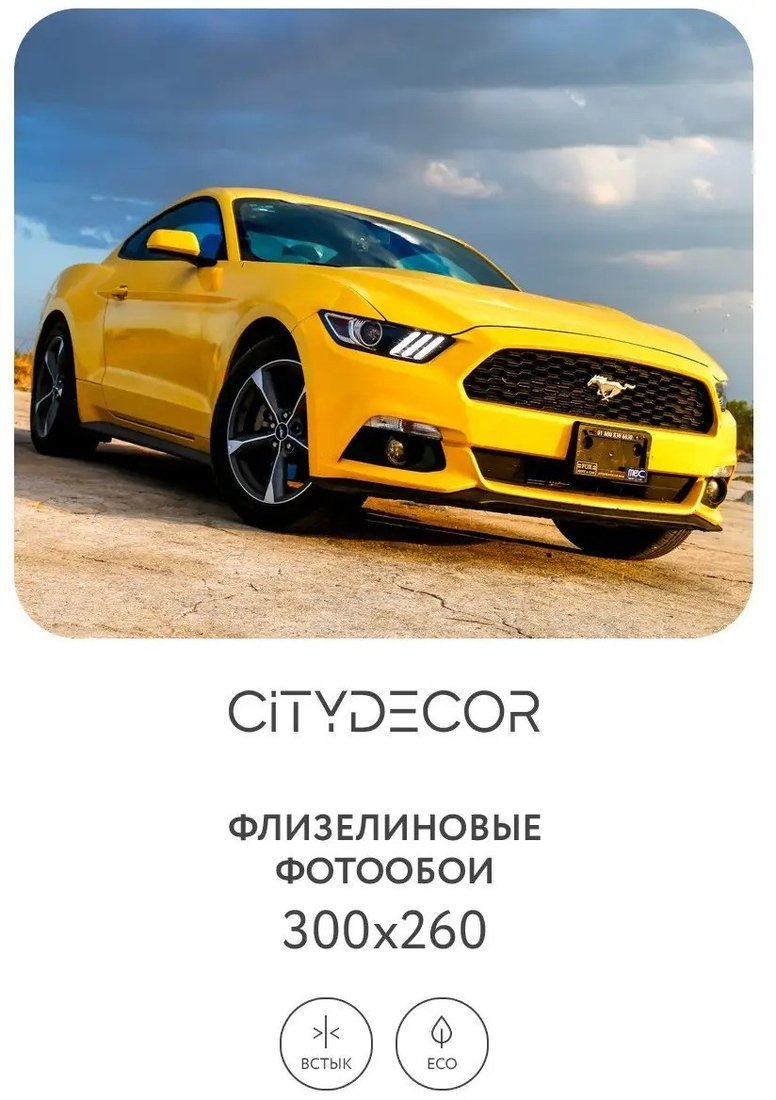 Фотообои Citydecor Транспорт 24 300x260