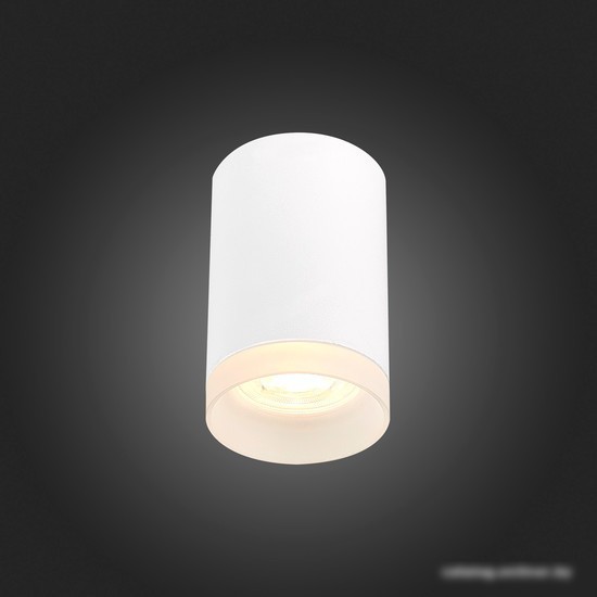 Припотолочная люстра ST Luce ST100.502.01