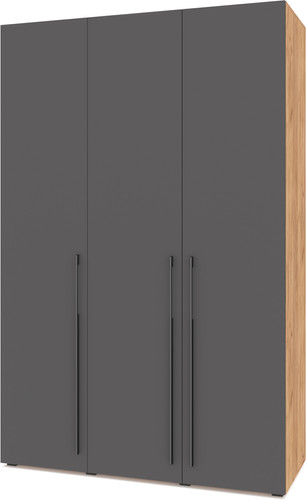 Шкаф распашной Modern Стоун С31 (золотой дуб/графит)