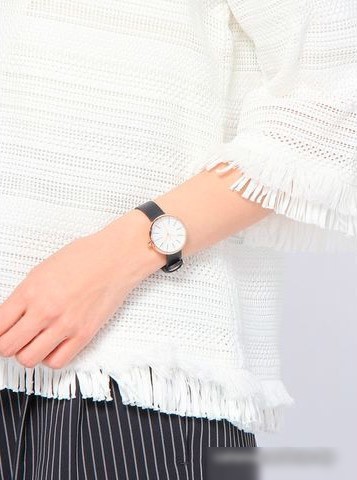 Наручные часы Skagen SKW2592