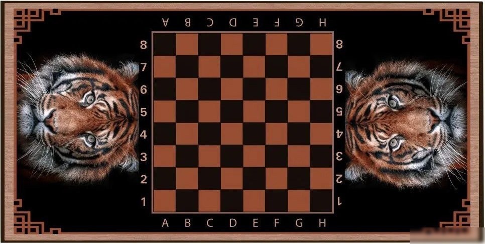 Шашки/нарды Partida Сирия Тигр средние. rastiger50