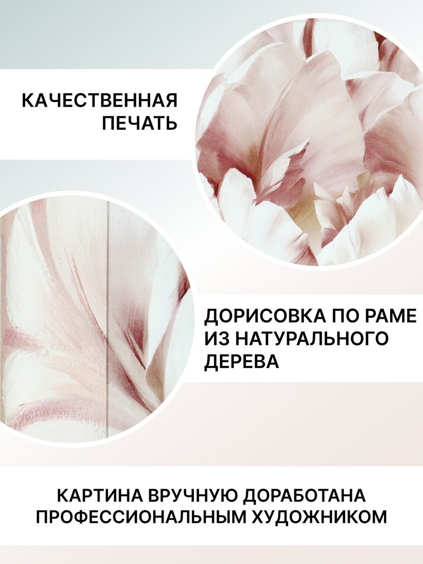 Картина Декарт Цветок пиона 3 8Л0641 (в раме)
