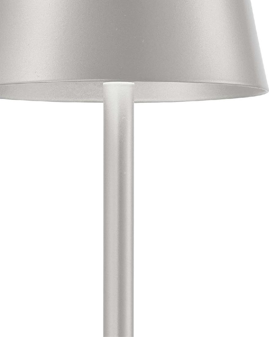 Настольная лампа F-Promo Pyari 4617-1T