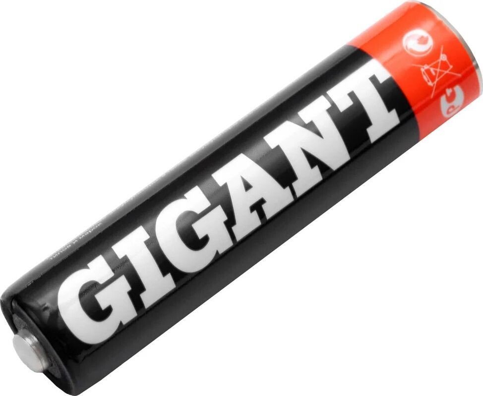 Аккумулятор Gigant ААA 1000 мАч (2 шт)