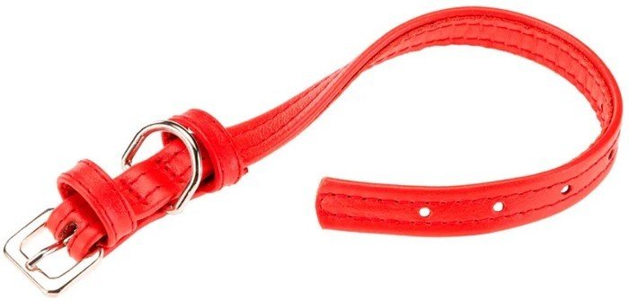 Ошейник Ferplast Vogue Flat CF15/29 76120022 (красный)