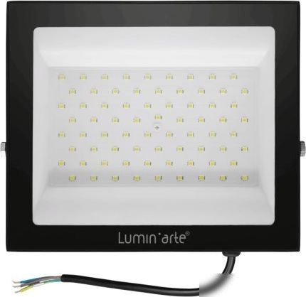 Уличный прожектор Luminarte LFL-100W/06
