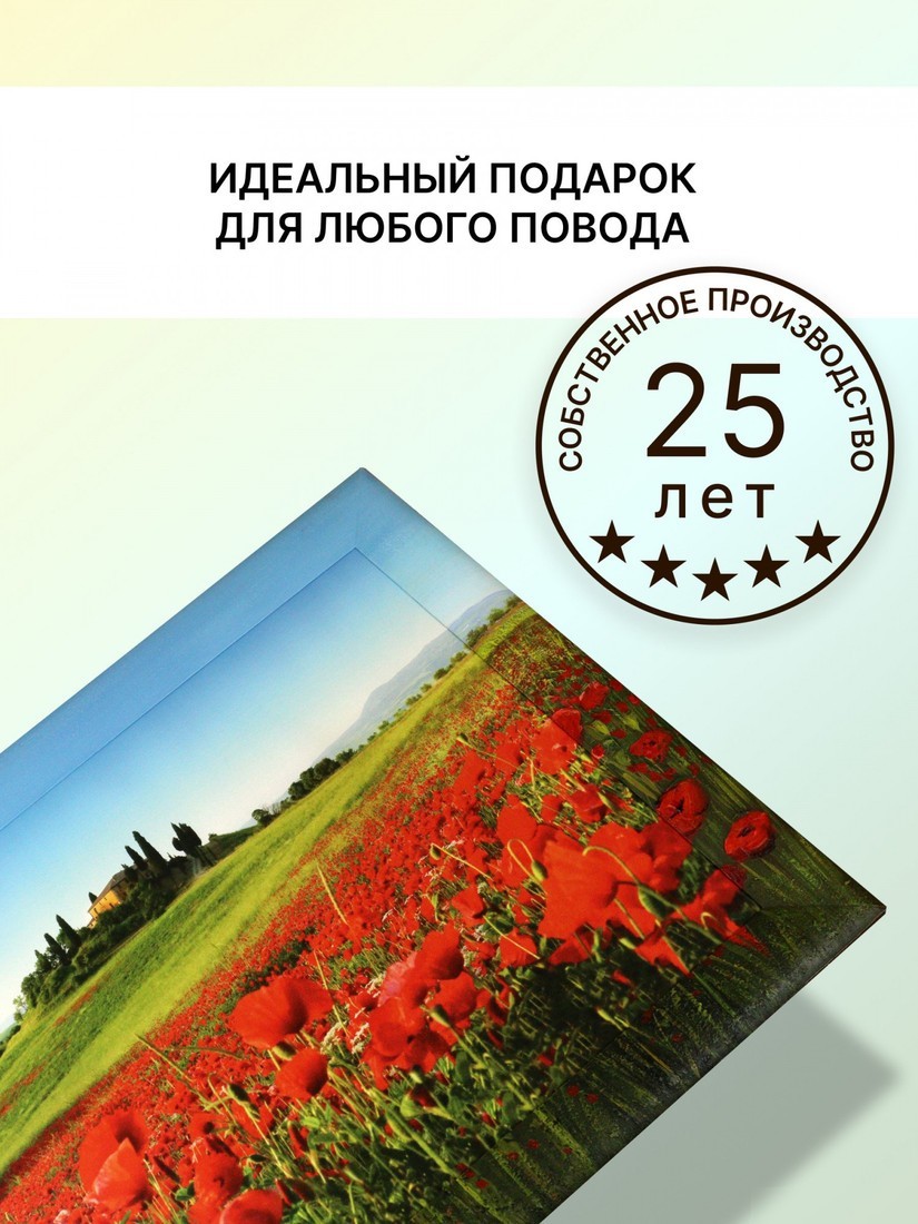 Картина Декарт 8Л3072