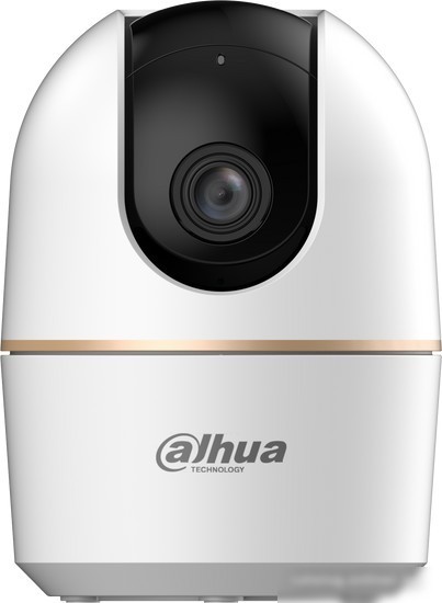IP-камера Dahua DH-IPC-H2AP