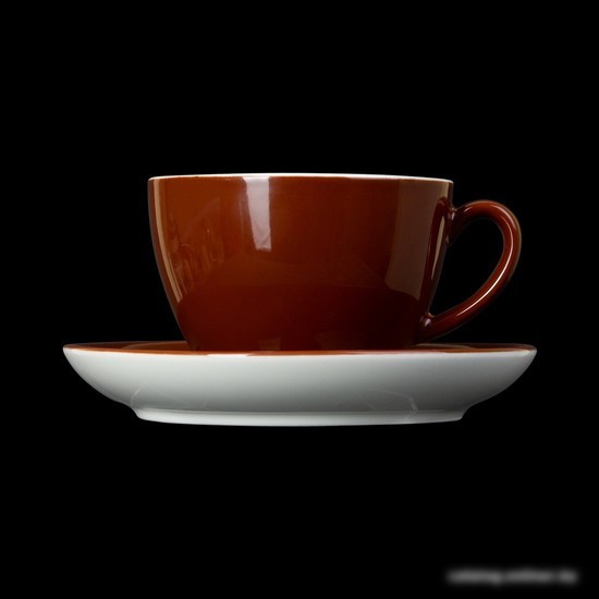 Чашка с блюдцем Corone Gusto 4616/4618 фк1719