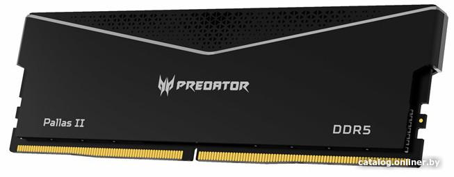 Оперативная память Acer Predator Pallas II 2x32ГБ DDR5 6000 МГц BL.9BWWR.437