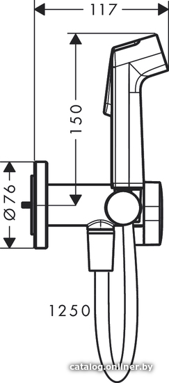 Гигиенический душ Hansgrohe Bidette 1jet S 29232700