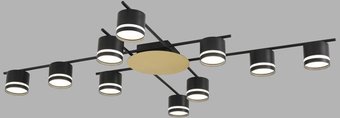 Припотолочная люстра Lumion Benua 8304/10C