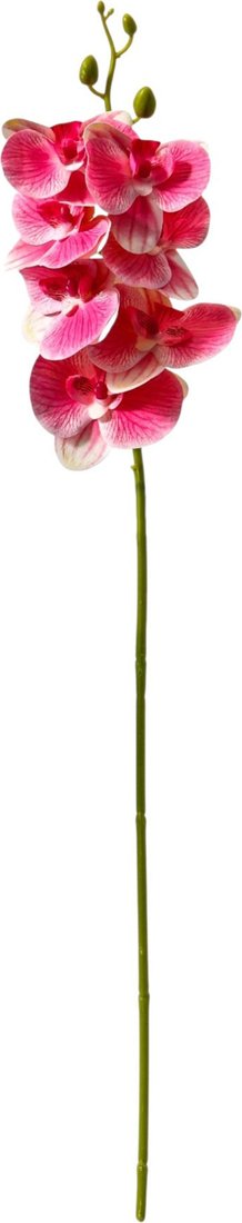 Искусственный цветок Poetry in flowers Орхидея экстра галант 10084664