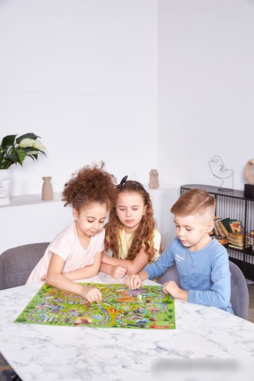 Настольная игра Десятое королевство Маленькие пешеходы 04620