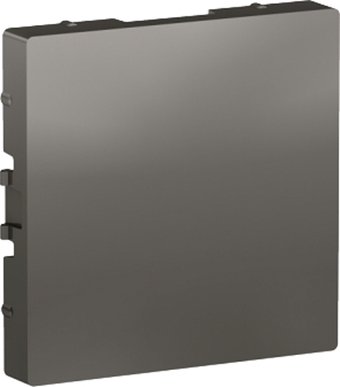 Декоративная заглушка Systeme Electric AtlasDesign ATN000909