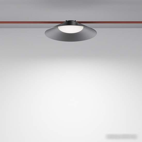Точечный светильник Maytoni Campana TR127B-12W4K-B