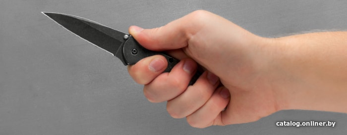 Складной нож Kershaw 1660BLKW Leek