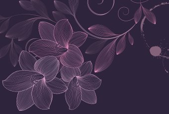 Фотообои Vimala Векторные цветы 16 270x400