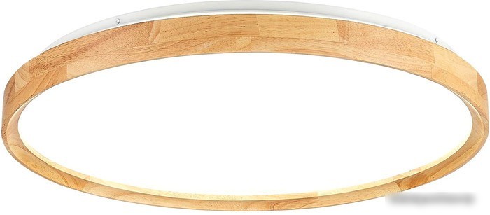 Светильник-тарелка Evoluce Delia SLE201382-01