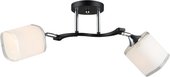 Спот Aitin Pro НПБ 02-2x60-101 N6108/2 (черный/хром)