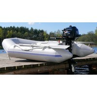 Лодочный мотор Parsun F2.6 BMS