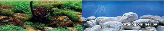 Фон Barbus Водный сад. Яркие камни Background 017 45 см х 94 см Фон Barbus Водный сад. Яркие камни Background 017 45 см х 94 см